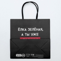 Пакет подарочный новогодний &laquo;А ты уже синяя&raquo;, 22 х 22 х 11 см, Новый год