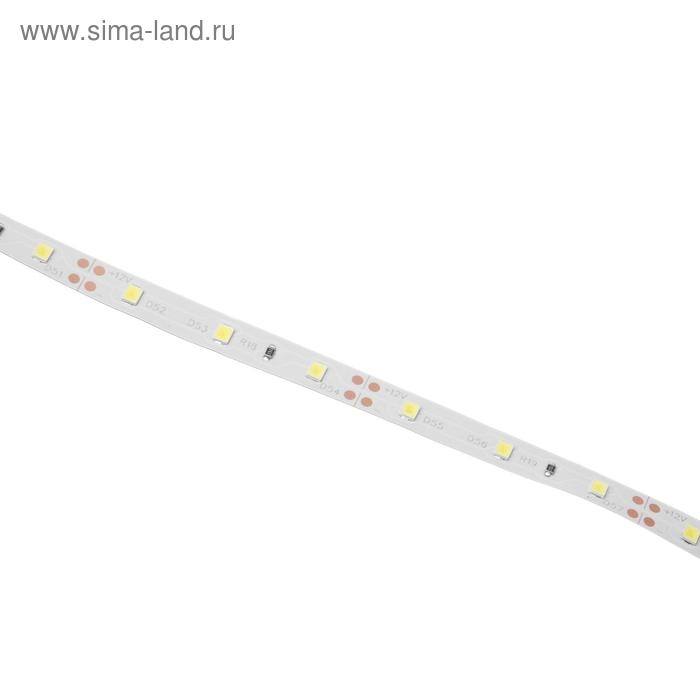 Светодиодная лента Ecola PRO 5 м, IP20, SMD3528, 60 LED/м, 4.8 Вт/м, 12 В, 6000К Светодиодная лента Ecola PRO 5 м, IP20, SMD3528, 60 LED/м, 4.8 Вт/м, 12 В, 6000К