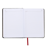 Ежедневник недатированный А5+, 136 листов Sidney Nebraska, твёрдая обложка, искусственная кожа, золотой срез, чёрный