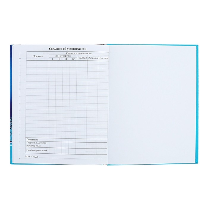 Дневник универсальный для 1-11 классов Дневник универсальный для 1-11 классов "Северное сияние", твёрдая обложка, голография, 40 листов