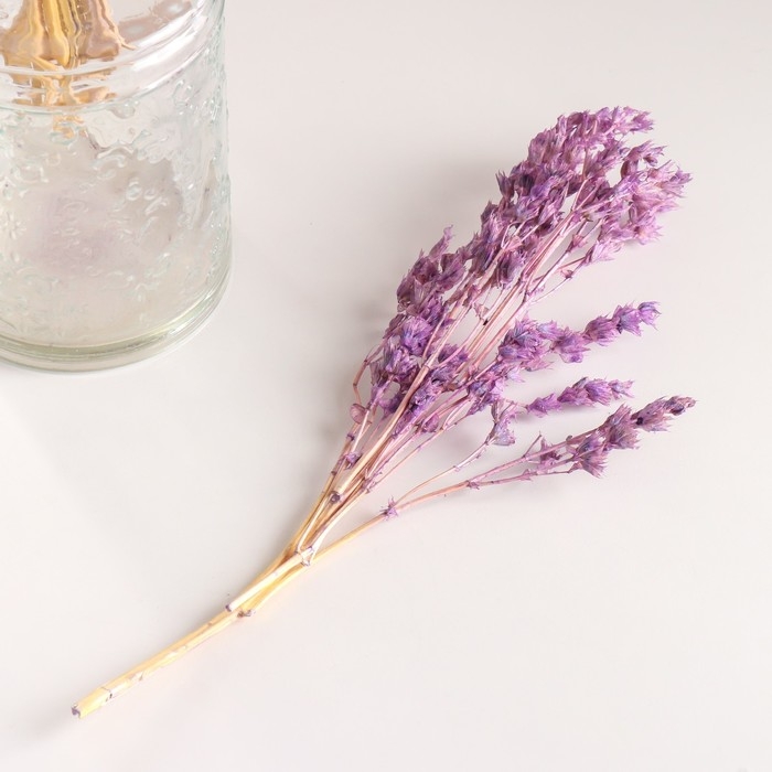 Набор сухоцветов Набор сухоцветов "Шандра", банч длина 32 (+/- 6 см), сиреневый