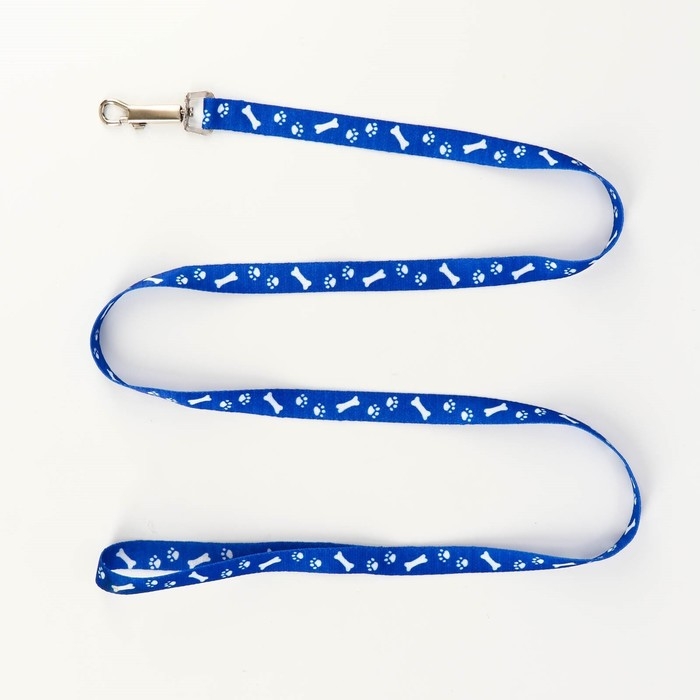 Комплект капроновый "Косточки и лапки", поводок 120 х 1,5 см, ОГ 30-44 см, синий