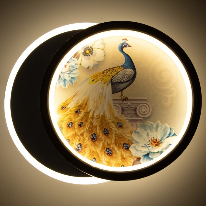 Бра Бра "Павлин" LED 21Вт 4000К черно-белый 19х23х5 см