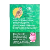 Растущие животные в яйце «Сова» МИКС Растущие животные в яйце «Сова» МИКС