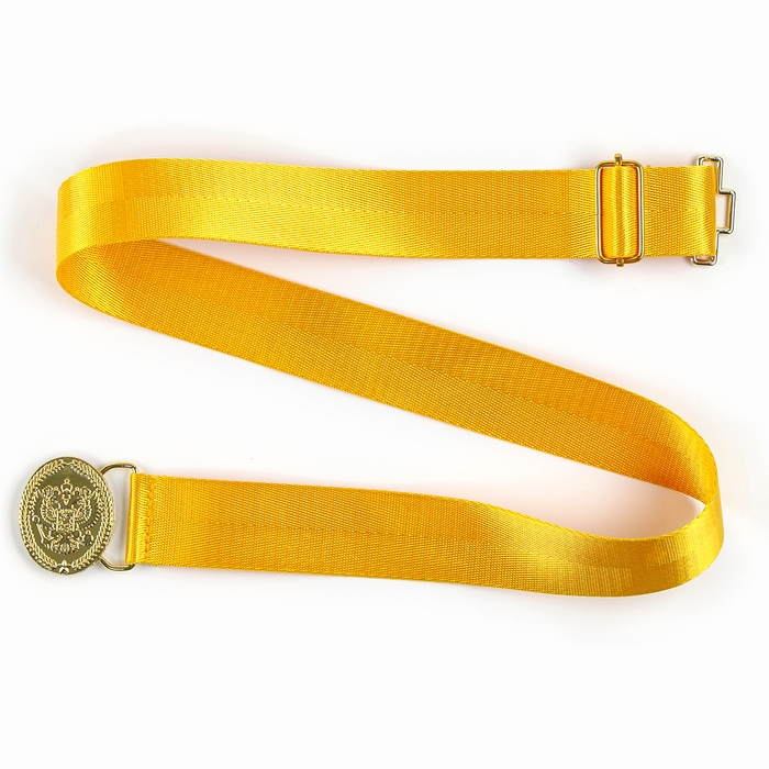 Карнавальный набор «Храбрый офицер», аксельбант, пояс, золотой Карнавальный набор «Храбрый офицер», аксельбант, пояс, золотой