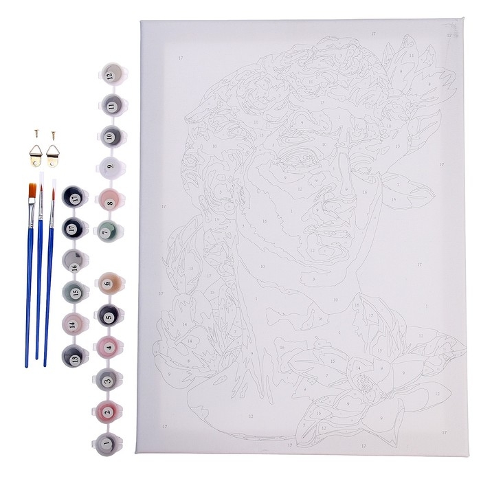 Картина по номерам на холсте с подрамником &laquo;Давид&raquo;, 30х40 см