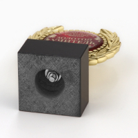 Кубок &laquo;Золотой учитель&raquo;, наградная фигура, пластик, золото, 13 х 8 х 5 см.