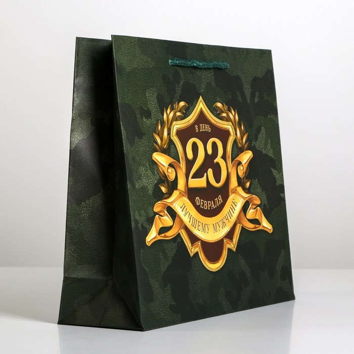 Пакет подарочный ламинированный горизонтальный, упаковка, &laquo;С 23 февраля&raquo;, ML 25х 21 х 8 см