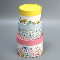 Набор шляпных коробок 3 в 1, упаковка подарочная, &laquo;Акварель&raquo;, 16 х 10, 14 х 9, 13 х 8.5 см