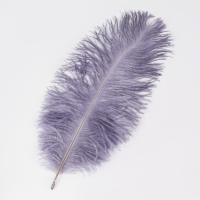 Перо для декора 1 шт., размер 24 см, цвет серый Перо для декора 1 шт., размер 24 см, цвет серый