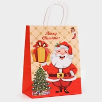 Новый год. Пакет бумажный подарочный новогодний крафт "Дед Мороз с подарком", 27 х 21 х 11 см. Новый год. Пакет бумажный подарочный новогодний крафт "Дед Мороз с подарком", 27 х 21 х 11 см.