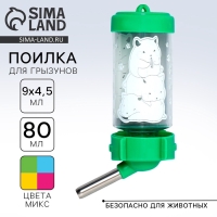 Поилка для грызунов &laquo;Пирамида&raquo; 80 мл, 9х4.5 см, микс цветов