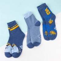 Набор детских носков KAFTAN "T-REX" 3 пары, размер 16-18 Набор детских носков KAFTAN "T-REX" 3 пары, размер 16-18