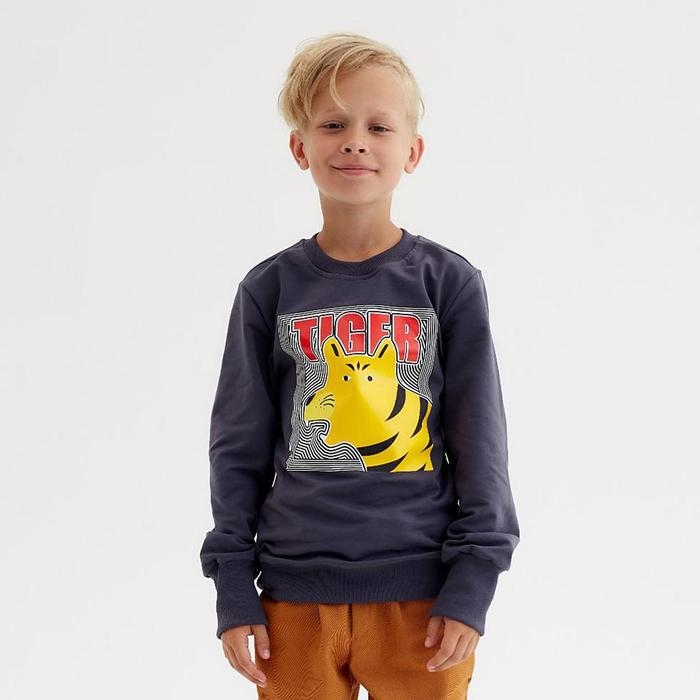 Свитшот для мальчика MINAKU: Casual Collection KIDS цвет графит, рост 152 Свитшот для мальчика MINAKU: Casual Collection KIDS цвет графит, рост 152