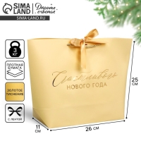 Пакет подарочный новогодний «Lucky present», 26 х 25 х 11 см, Новый год Пакет подарочный новогодний «Lucky present», 26 х 25 х 11 см, Новый год