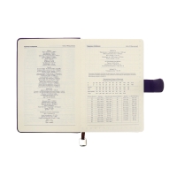 Ежедневник недатированный А5, 140л, клетка, к/зам, с ручкой, в подар. короб., Фиолетовый