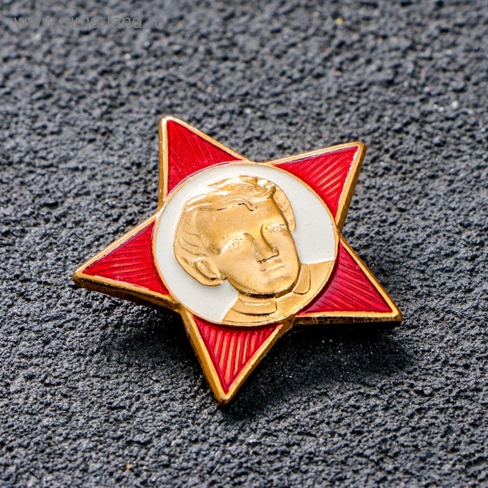 Значок Значок "Октябренок"