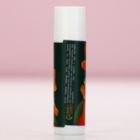 Подарочный набор косметики «Время чудес», бальзам для губ, 2 х 10 г, Новый Год Подарочный набор косметики «Время чудес», бальзам для губ, 2 х 10 г, Новый Год