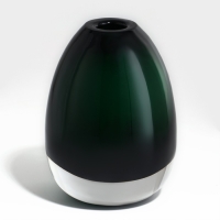 Ваза для цветов &laquo;Джозефина&raquo; из прозрачного зеленого стекла 12 х 10 х 10 см