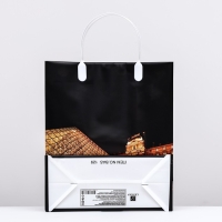 Пакет "Вечерний Лувр", мягкий пластик, 26 x 23 см, 110 мкм Пакет "Вечерний Лувр", мягкий пластик, 26 x 23 см, 110 мкм