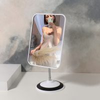 Зеркало на гибкой ножке, зеркальная поверхность 14,5 × 19,5 см, цвет МИКС Зеркало на гибкой ножке, зеркальная поверхность 14,5 × 19,5 см, цвет МИКС