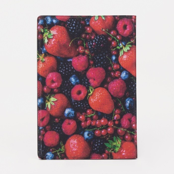 Обложка для паспорта, цвет красный/синий