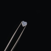 Фигурки для дизайна ногтей &laquo;Твоё сердце&raquo;, объёмные, меняют цвет, цвет полупрозрачный