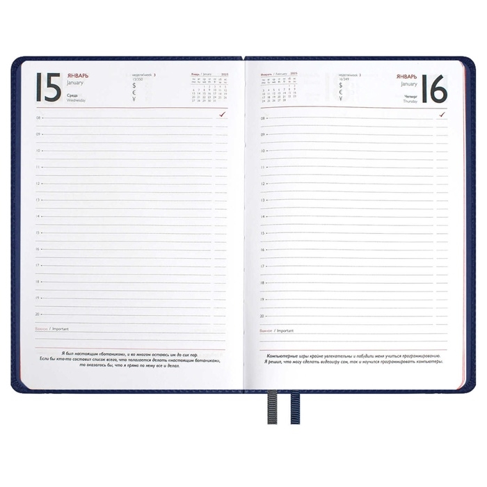 Ежедневник датированный 2025 года, ESCALADA, A5 176 листов, твердая обложка кожзам с поролоном, блинтовое тиснение, перфорация на обложке, блок 70 г/м2, синий