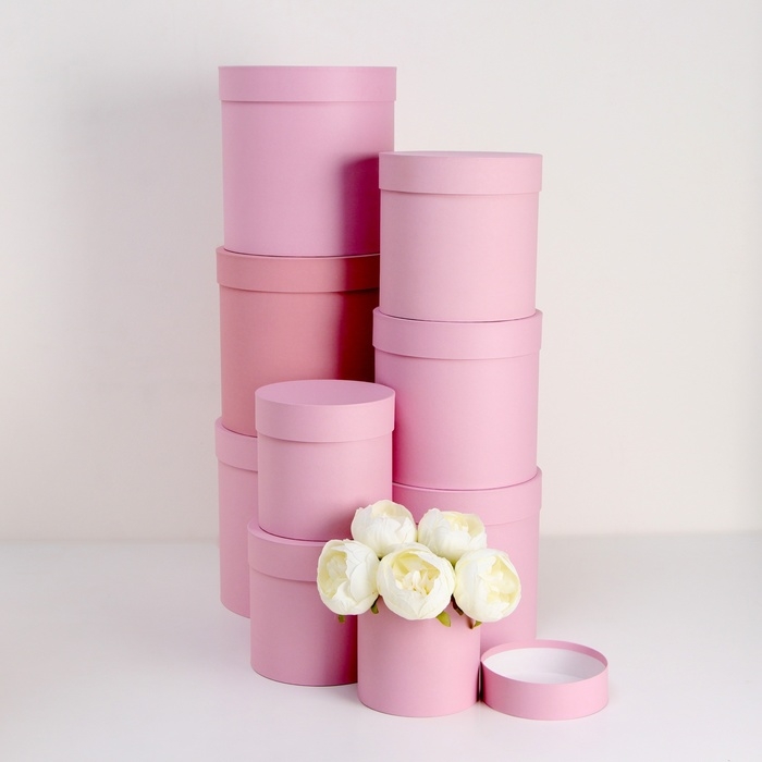 Набор круглых коробок 9 в 1 Пудра,23х23 - 13-13 см Набор круглых коробок 9 в 1 Пудра,23х23 - 13-13 см