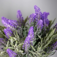 Бонсай "Лаванда экстра" 8х19 см, сиреневый Бонсай "Лаванда экстра" 8х19 см, сиреневый