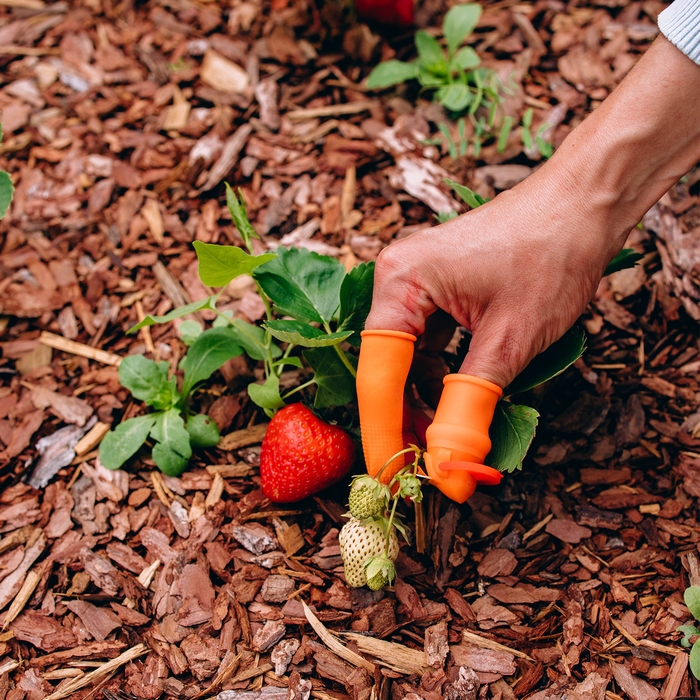 Напальчник с лезвием 90&deg; + 4 защитных напальчника, для сбора урожая, Greengo