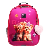 Рюкзак каркасный школьный 38 х 30 х 16 см, эргономичная спинка, Stavia "Йорки", розовый Рюкзак каркасный школьный 38 х 30 х 16 см, эргономичная спинка, Stavia "Йорки", розовый