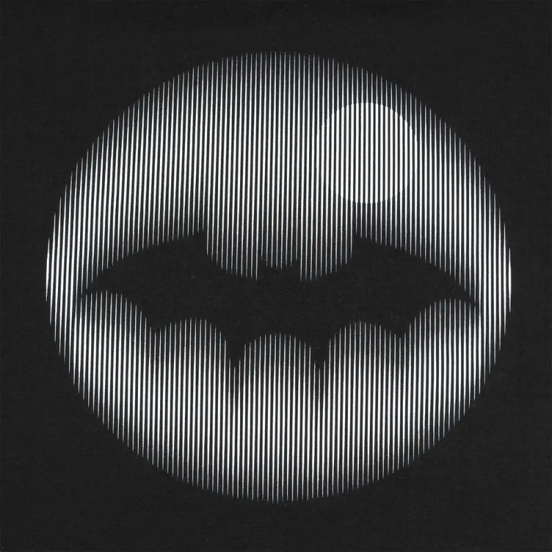 Свитшот Letucci, черный, размер S