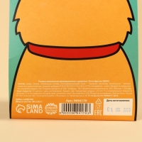 Жевательная резинка &laquo;Кто тут хороший мальчик?&raquo;, вкус: тутти-фрутти, 50 г.