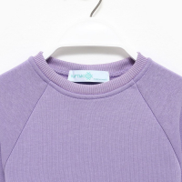 Костюм детский с начёсом (джемпер, брюки) KAFTAN "Basic line" р.34 (122-128), лиловый