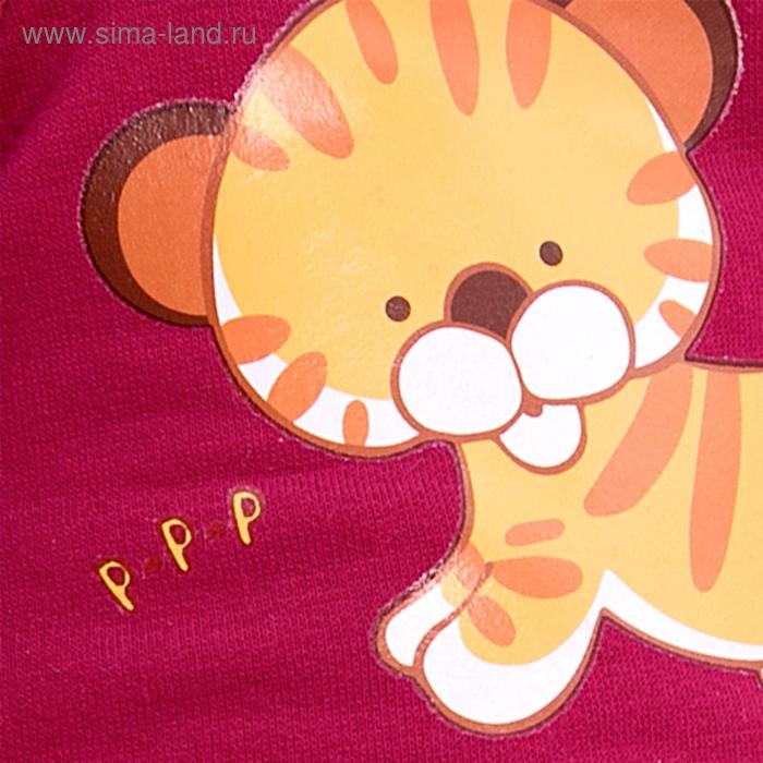 Мягкая игрушка &laquo;Басик&raquo; в футболке с принтом &laquo;Тигрёнок&raquo;, 19 см