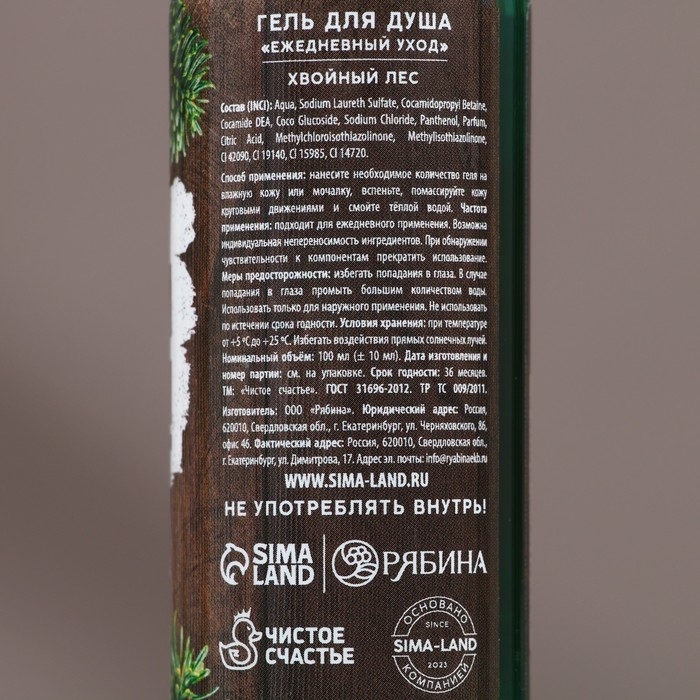 Подарочный набор косметики «Богатства и успеха», гель для душа и шампунь для волос, 2 х 100 мл, Новый Год Подарочный набор косметики «Богатства и успеха», гель для душа и шампунь для волос, 2 х 100 мл, Новый Год