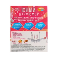 Набор для творчества. Юный парфюмер &laquo;Прекрасной девочке&raquo;