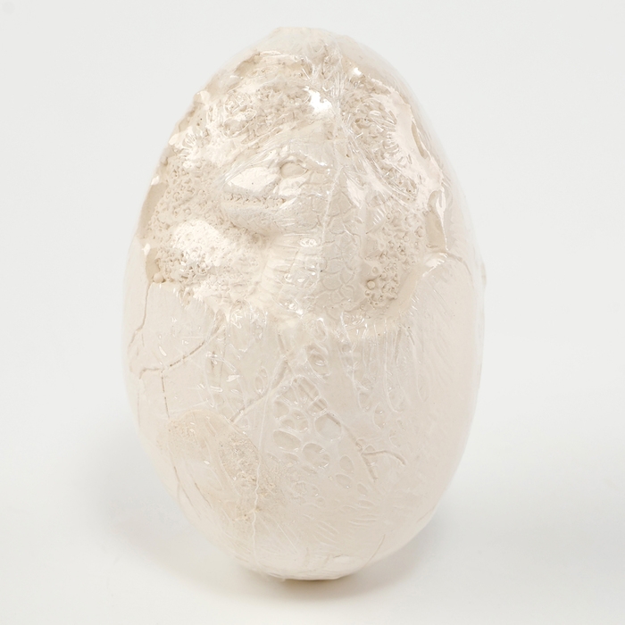 Набор для раскопок «Волшебный змей» Набор для раскопок «Волшебный змей»