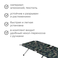 Раскладушка &laquo;Медведь&raquo;, 180 х 65 х 40 см, цвет МИКС