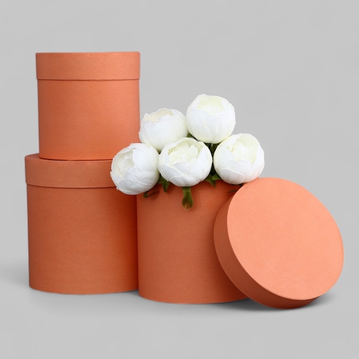 Набор шляпных коробок 3 в 1 оранжевый, 21 х 20 - 16 х 17 см Набор шляпных коробок 3 в 1 оранжевый, 21 х 20 - 16 х 17 см