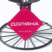 Фруктовница Доляна &laquo;Эстетика&raquo;, 18&times;18&times;23 см, чёрный