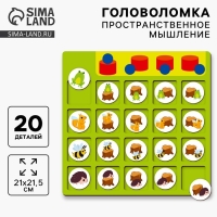 Головоломка деревянная для детей &laquo;Развиваем пространственное мышление&raquo;