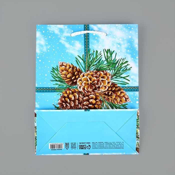 Пакет подарочный новогодний ламинированный &laquo;С Новым годом&raquo;, шишки, MS 18 х 23 х 8 см, Новый год