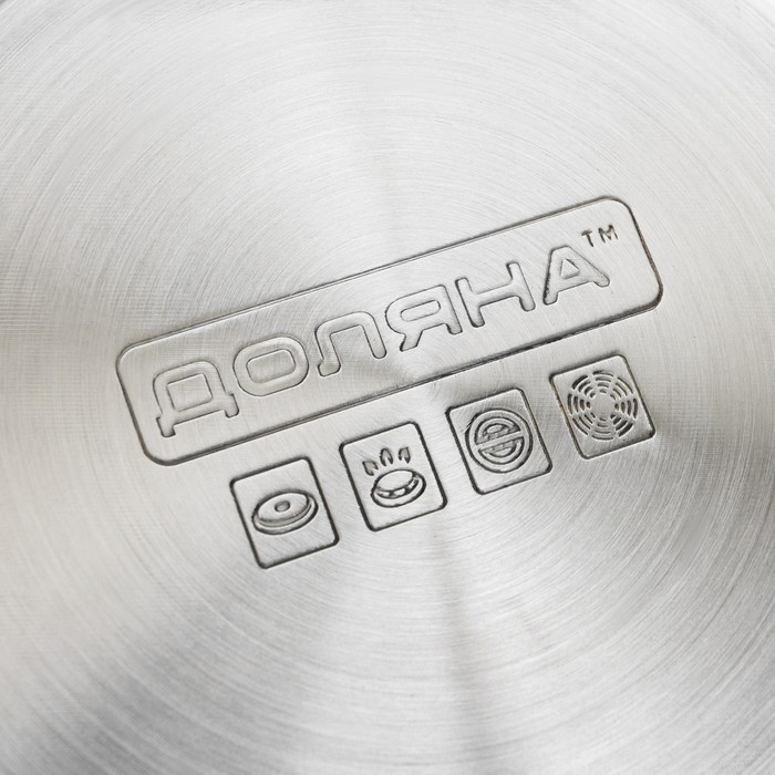 Чайник со свистком из нержавеющей стали Доляна &laquo;Рио&raquo;, 2,8 л, фиксированная ручка, цвет хромированный