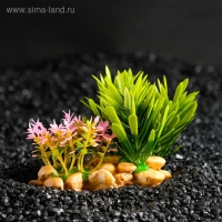 Растение искусственное аквариумное на подставке под камень, 14 х 11 х 7 см Растение искусственное аквариумное на подставке под камень, 14 х 11 х 7 см