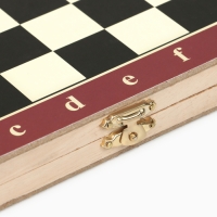 Шахматы, шашки, нарды, настольные игры, набор 3 в 1, 25 х 25 см Шахматы, шашки, нарды, настольные игры, набор 3 в 1, 25 х 25 см