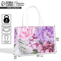 Пакет подарочный, упаковка, «Dreams», 30 х 20 х 10 см Пакет подарочный, упаковка, «Dreams», 30 х 20 х 10 см