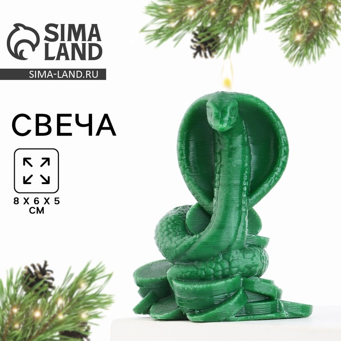 Новогодняя свеча интерьерная &laquo;Новый год: Змея на монетках&raquo;, зелёная, 78 х 61 х 52