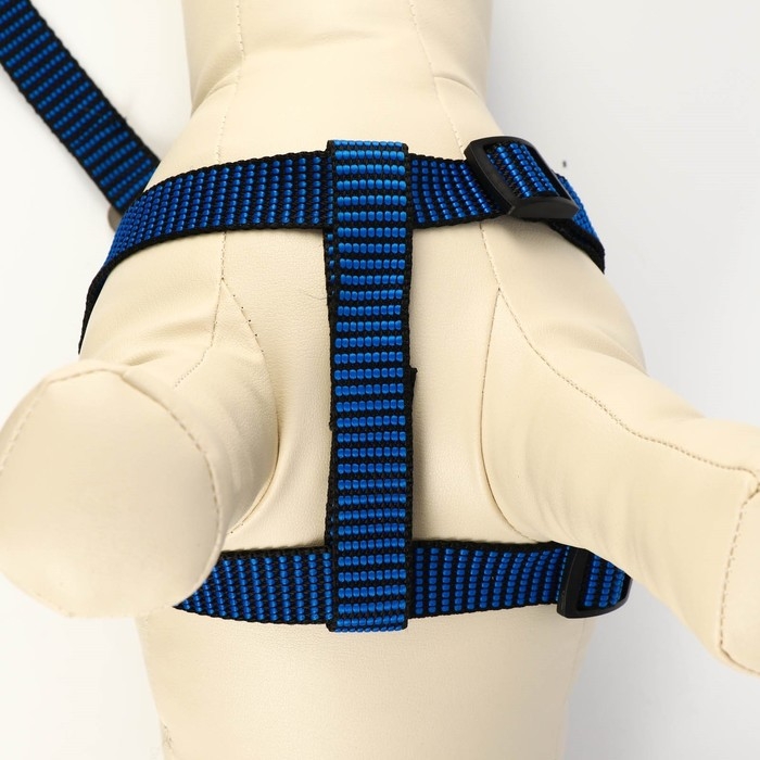 Комплект амуниции рельефный, поводок 120 х 2 см, ОГ 44-50 см, сине-чёрный Комплект амуниции рельефный, поводок 120 х 2 см, ОГ 44-50 см, сине-чёрный